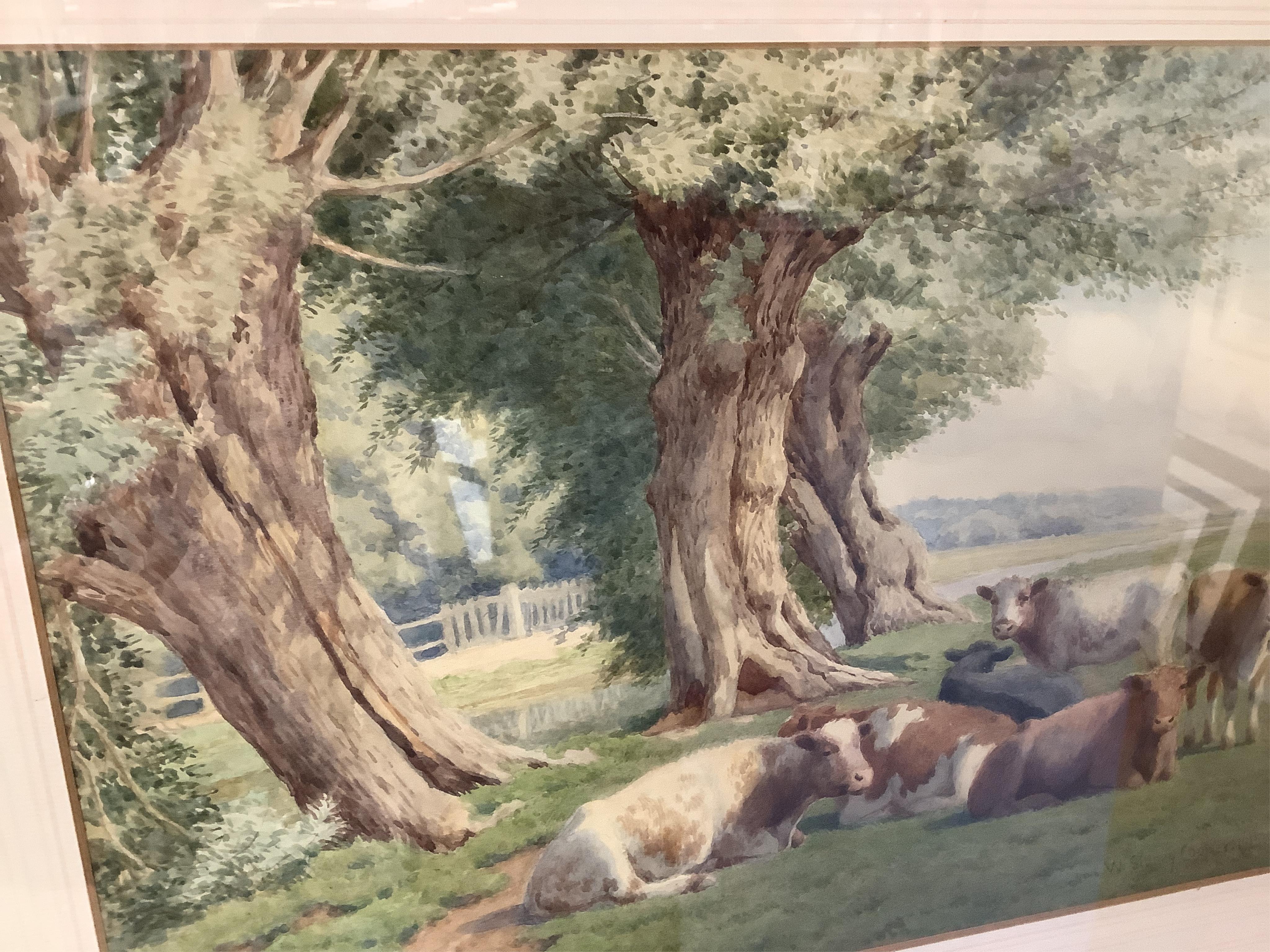 William Sidney Cooper (1854–1927), Cattle resting before trees, signed and dated 1915, watercolour, 25 x 34cm